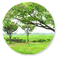 平城宮址に隣接