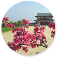 交通ショッピングに便利